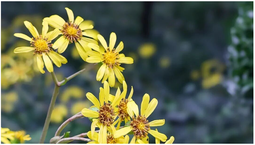 1761735981594308.png ScreenShot_2025-10-29_190545_943.png